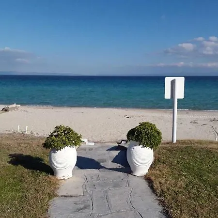 Tatil Evi Zoe's Summer House Kriopigi